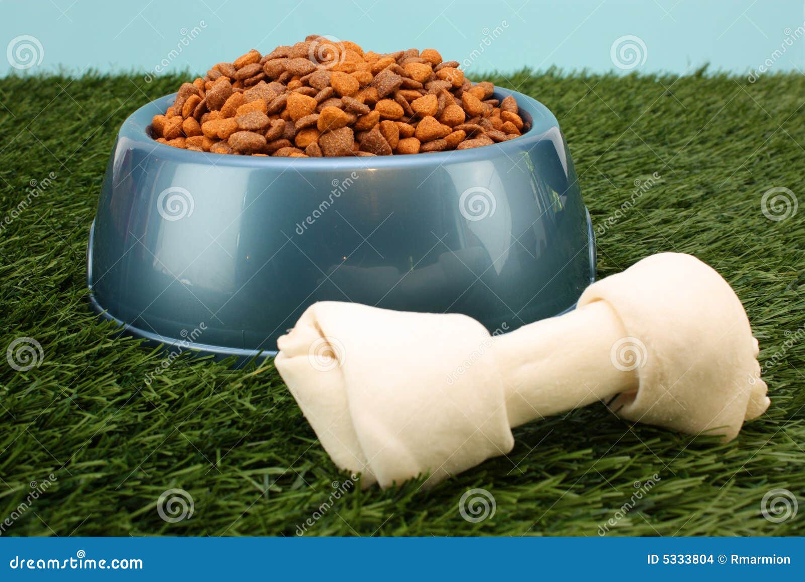 Dog Food stock photo. Image of bowl, bone, summer, grass 5333804