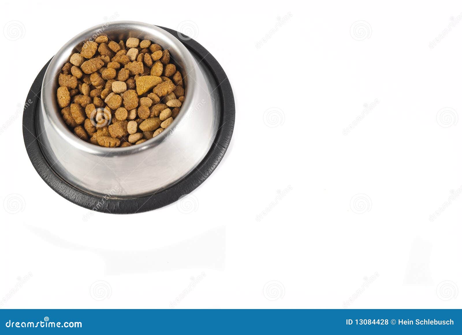 Dogfood in a bowl stock photo. Image of dish, nutrition 13084428