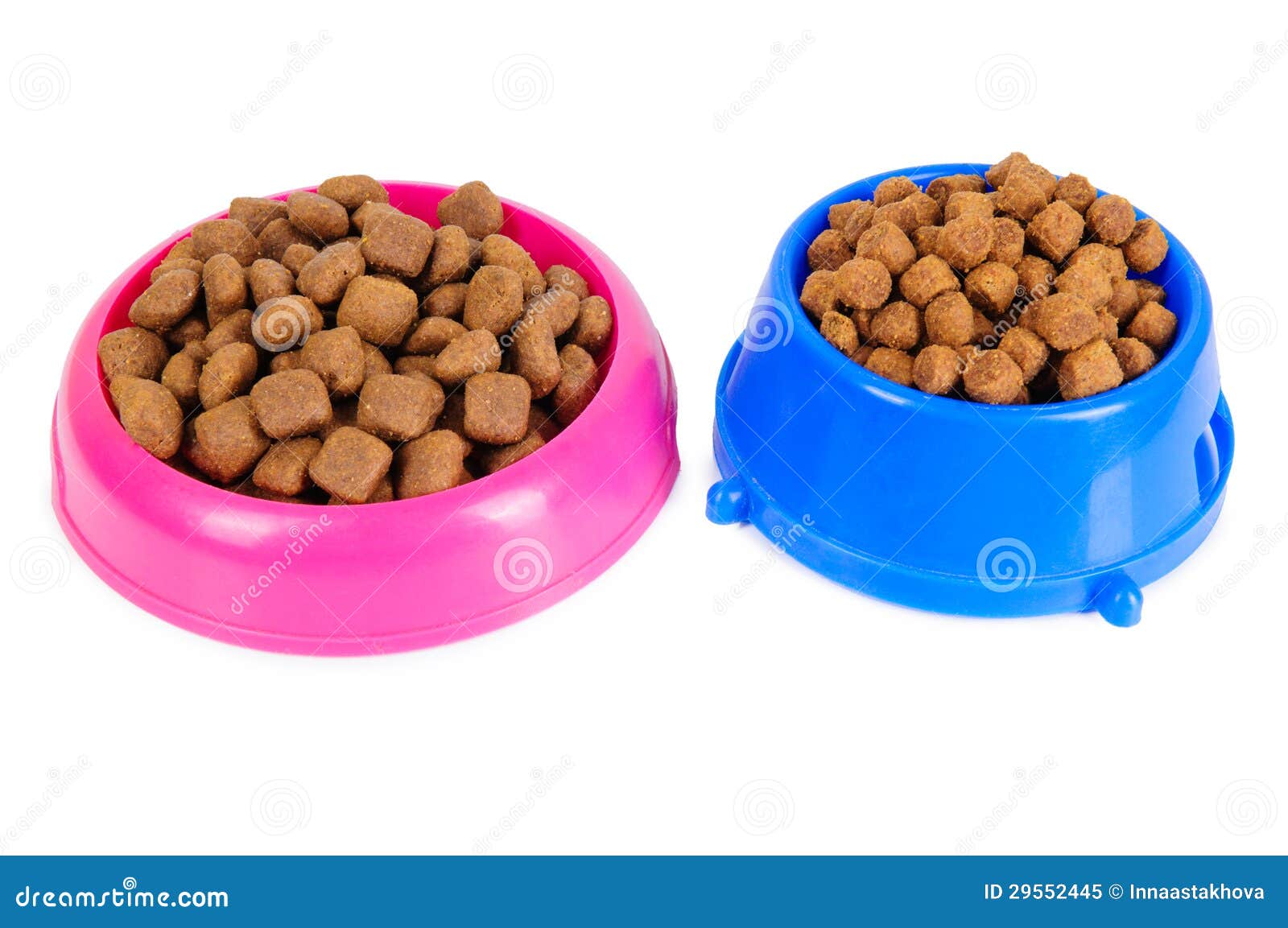 Dog food in bowl stock image. Image of care, photograph 29552445