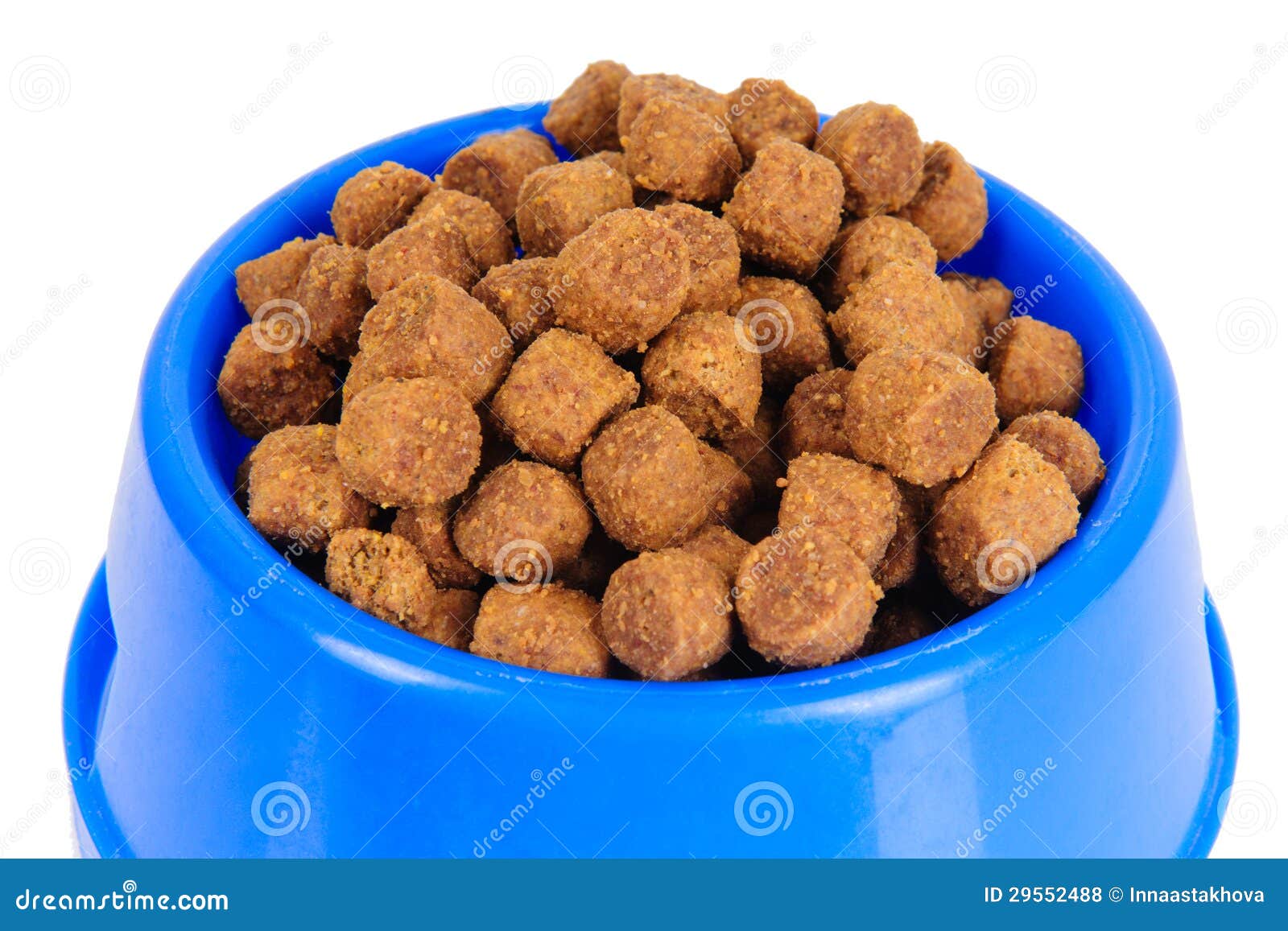 Dog food in bowl stock photo. Image of background, isolated 29552488