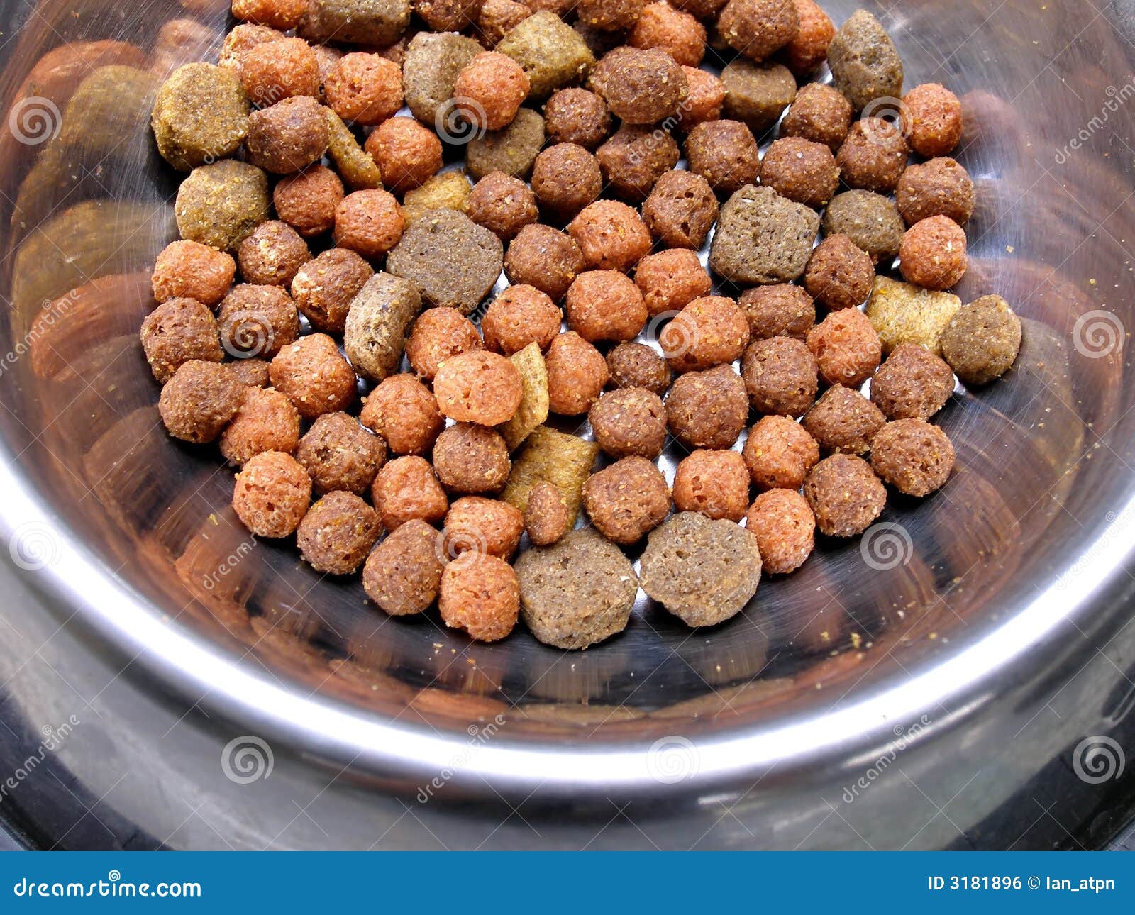 Dog food on metal plate stock photo. Image of food, brown 3181896