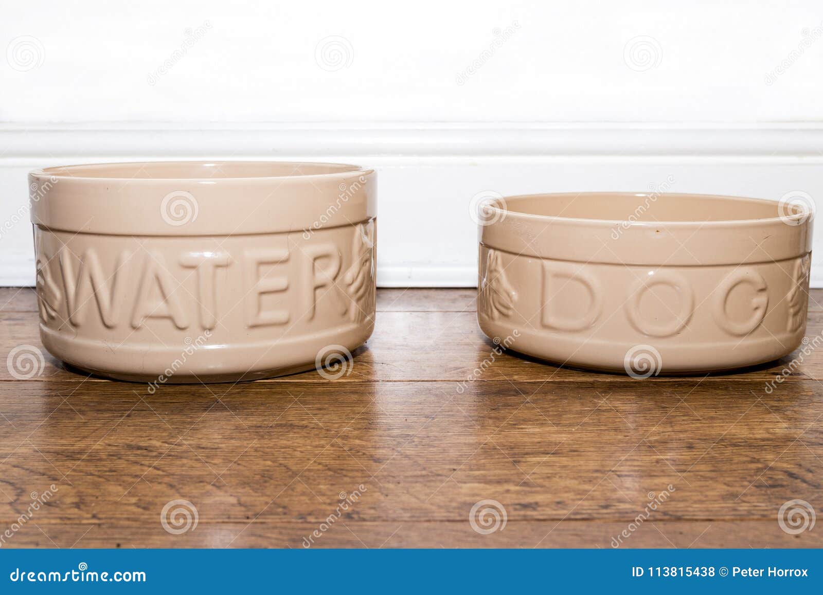 ceramic dog food bowls