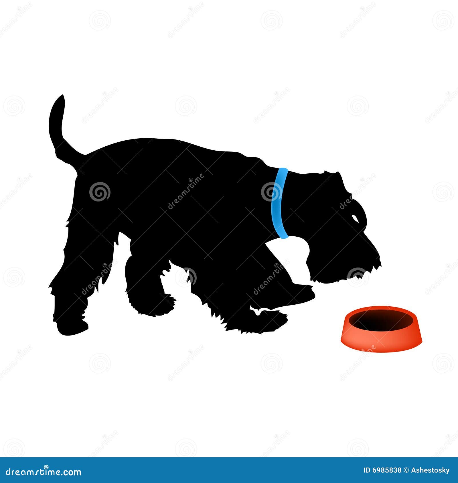 dog fox terrier eating food