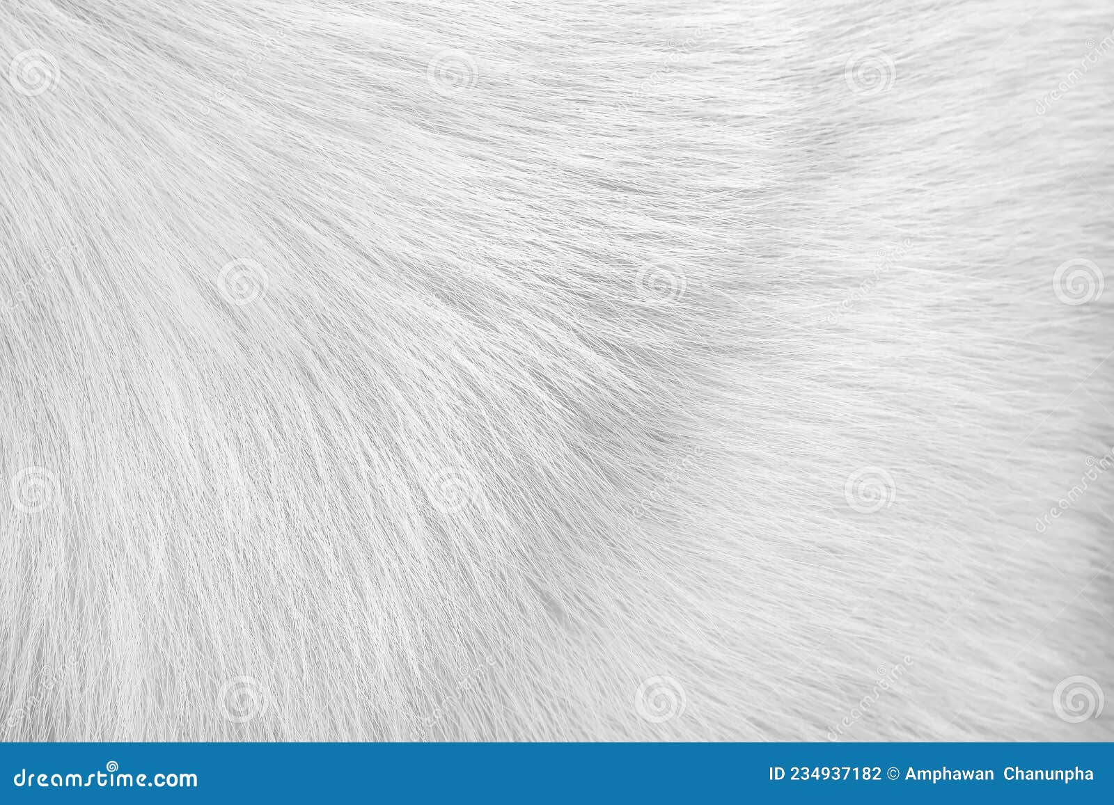 Dog Fur White Texture with Short Patterns Smooth Background Stock Photo