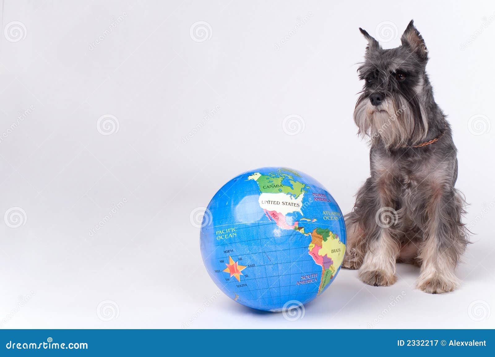 Dog and the globe stock image. Image of ball, global, humor 2332217