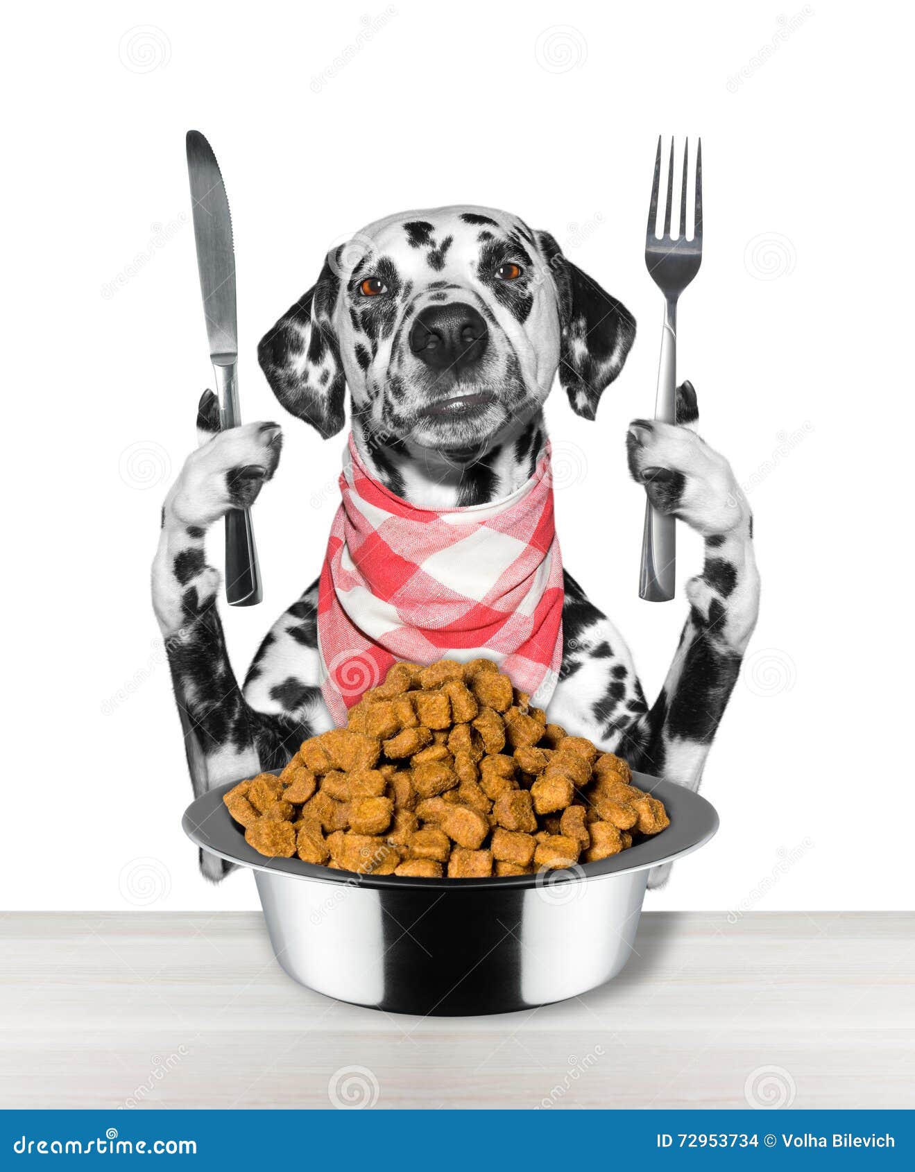 Dog Going To Eat and Hold Knife and Fork Stock Photo Image of looking