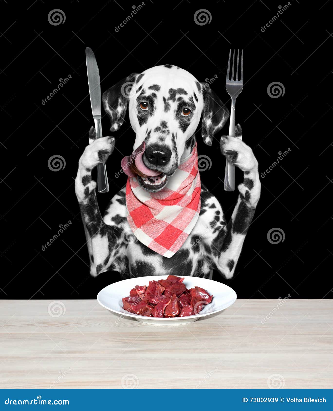 Dog is going to eat meat stock image. Image of dinner 73002939