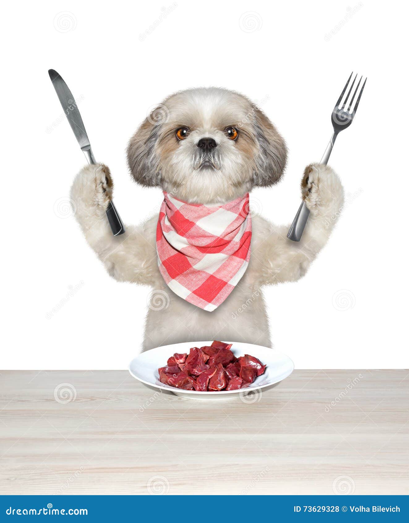 Dog is going to eat meat stock photo. Image of basin 73629328