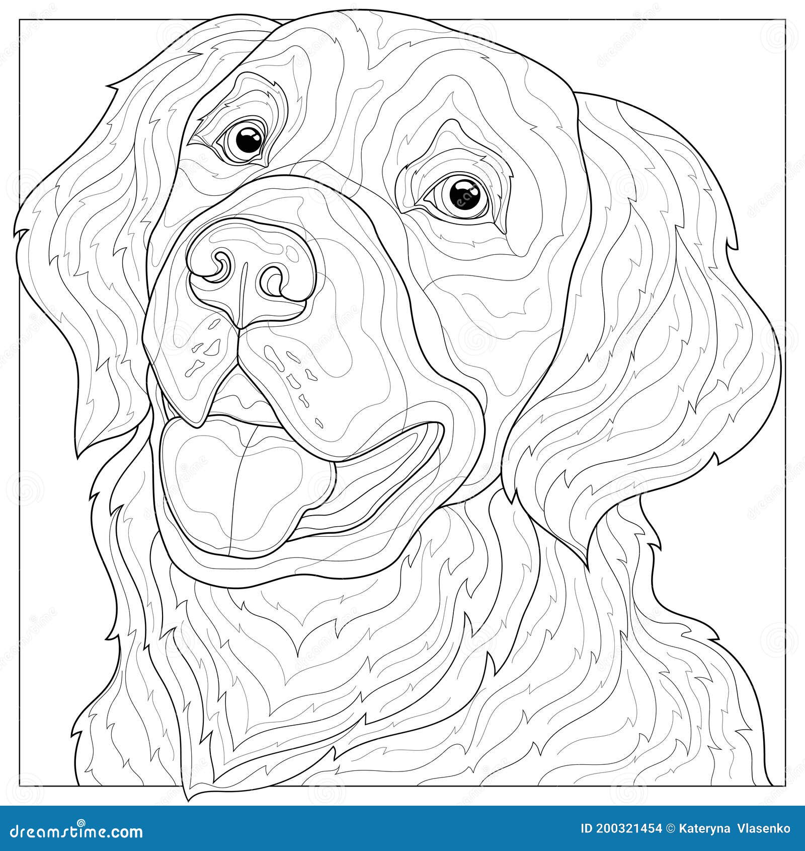 coloring pages of labrador retrievers