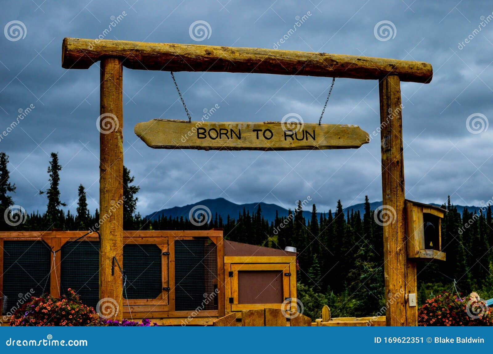 Dog Gone it Sled Dog Kennel Foto editorial Imagen de guirnalda