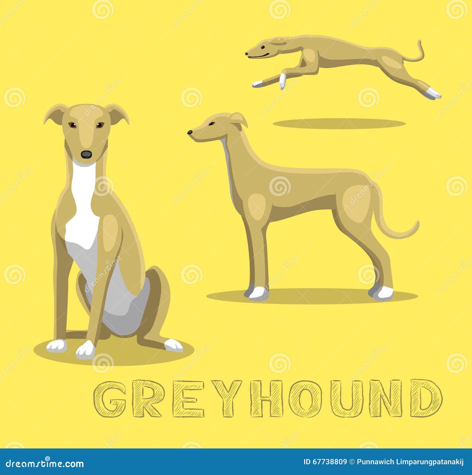 Dog Greyhound Cartoon Vector Illustration Stock Vector - Illustration of cute, jumping: 67738809 Dog Greyhound Cartoon Vector Illustration Stock Vector - Illustration of cute, jumping: 67738809