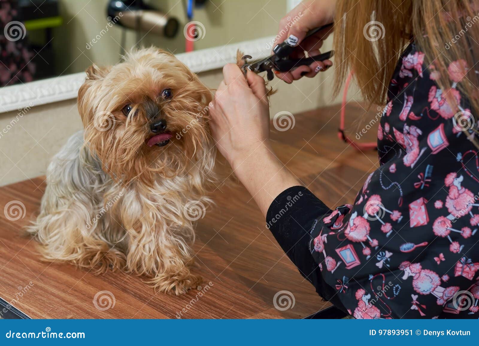 dog groomer nail clippers