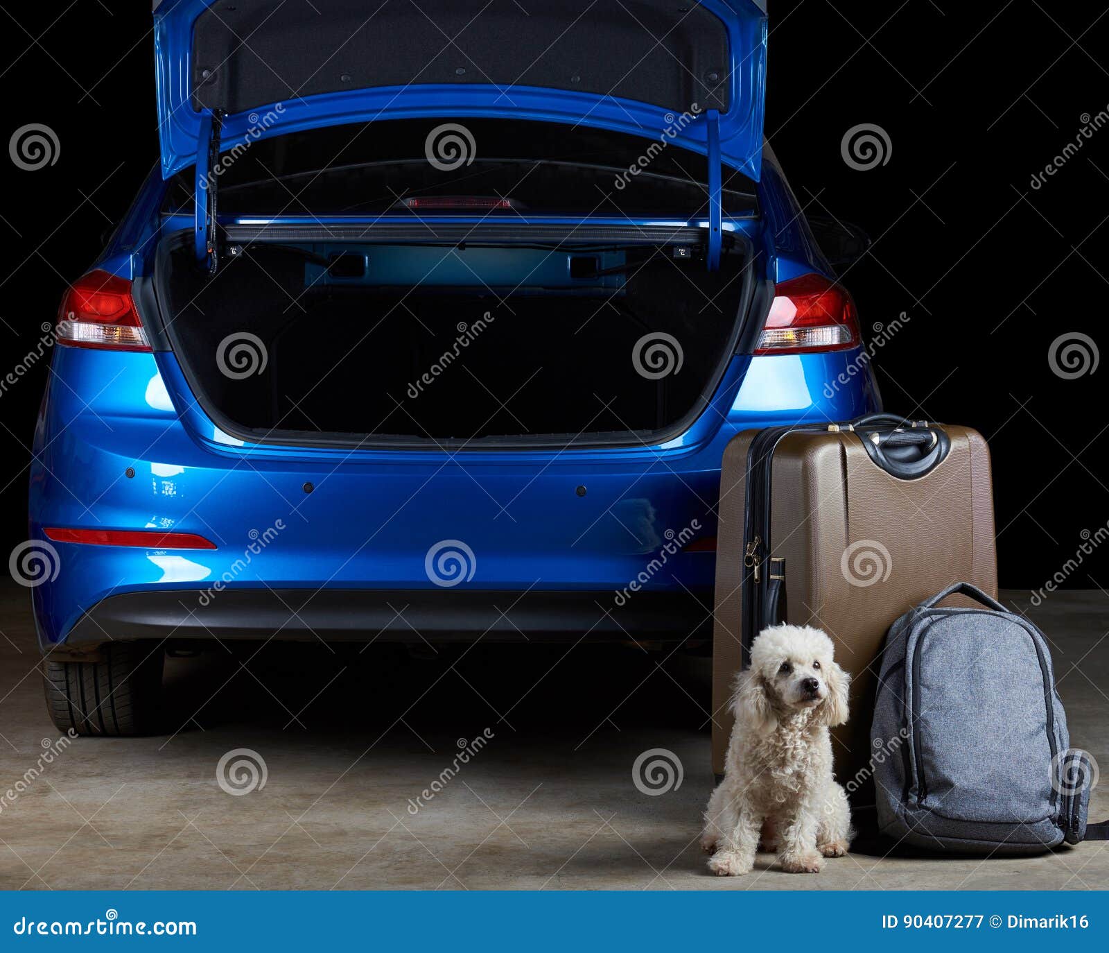 Dog Guard Luggage Next To Car Stock Image Image of bulldog, garden