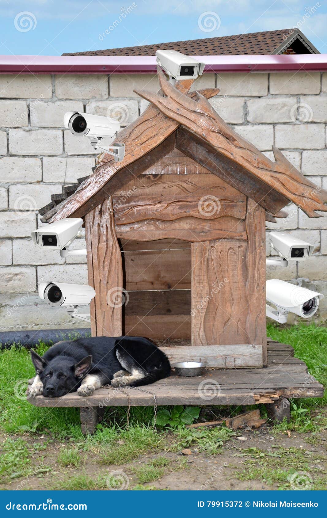 The Dog Is Guarding The House Is Equipped With Surveillance Cameras the-dog-is-guarding-the-house-is-equipped-with-surveillance-cameras