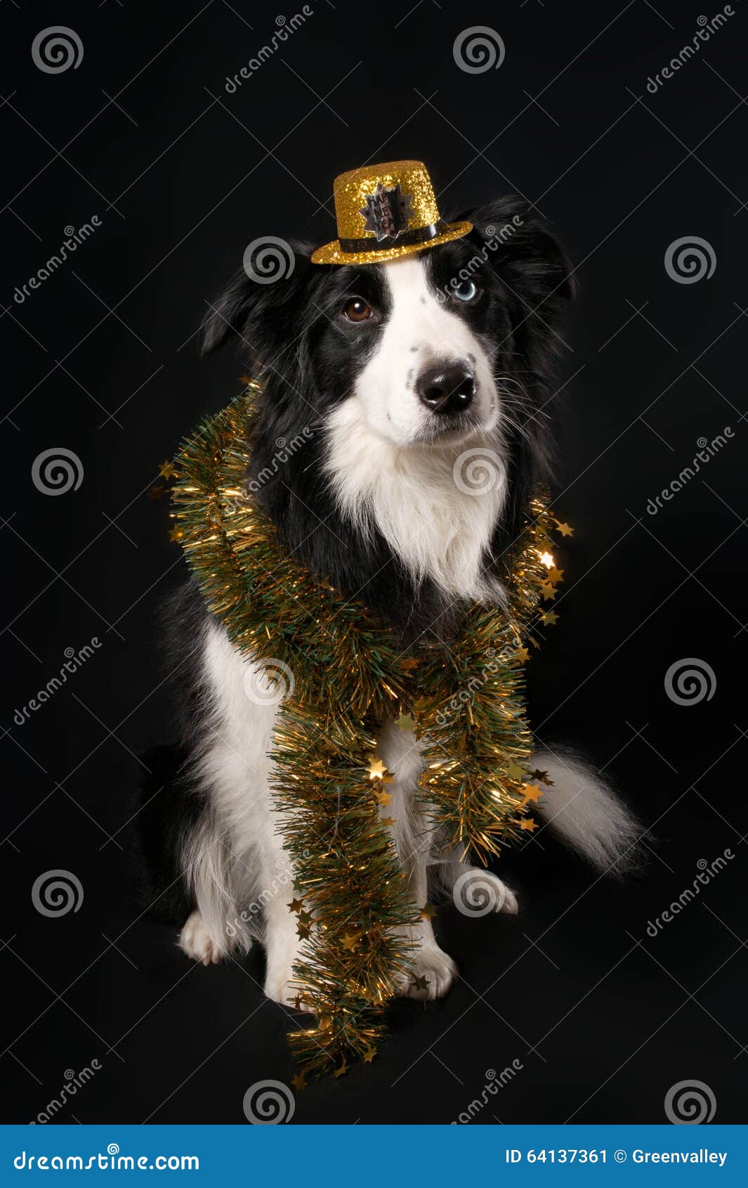 A dog in hat and tinsel stock image. Image of character 64137361