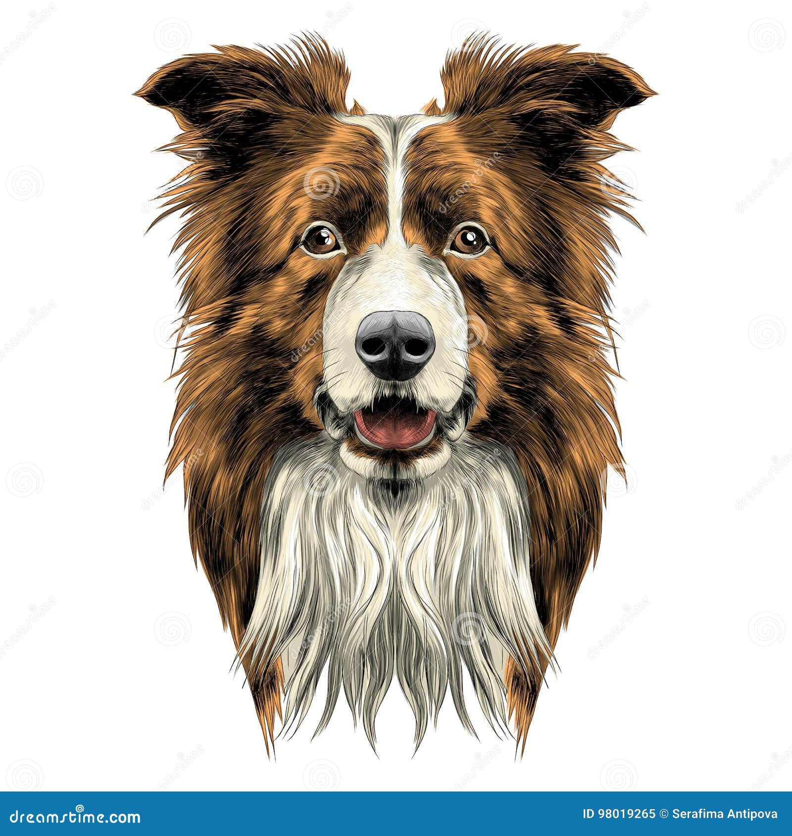 Dog Head Breed Border Collie Stock Vector Illustration