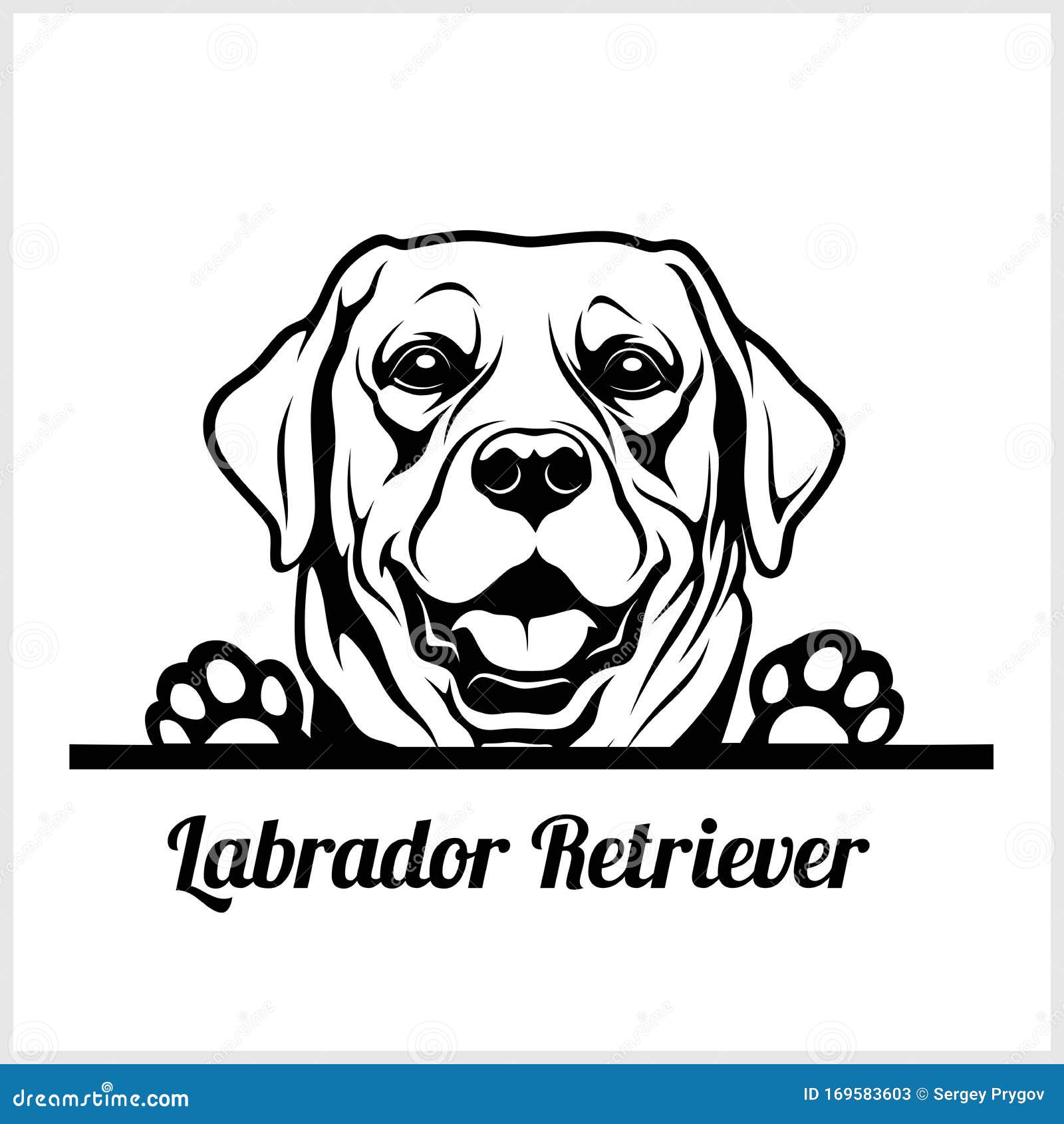 Dog Head, Labrador Retriever Breed, Black and White Illustration Stock ...