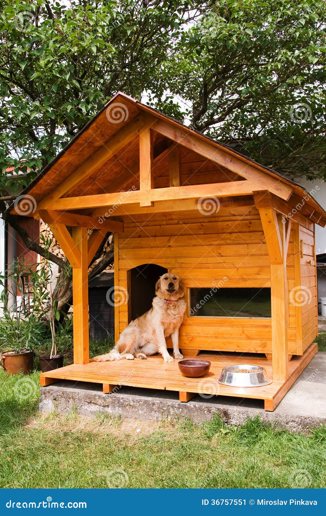 Dog and his new kennel stock image. Image of house, kennel 36757551