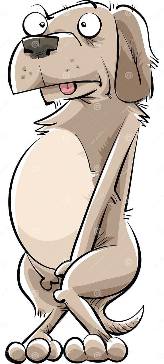 image showing dog showing signs of needing to eliminate/pee