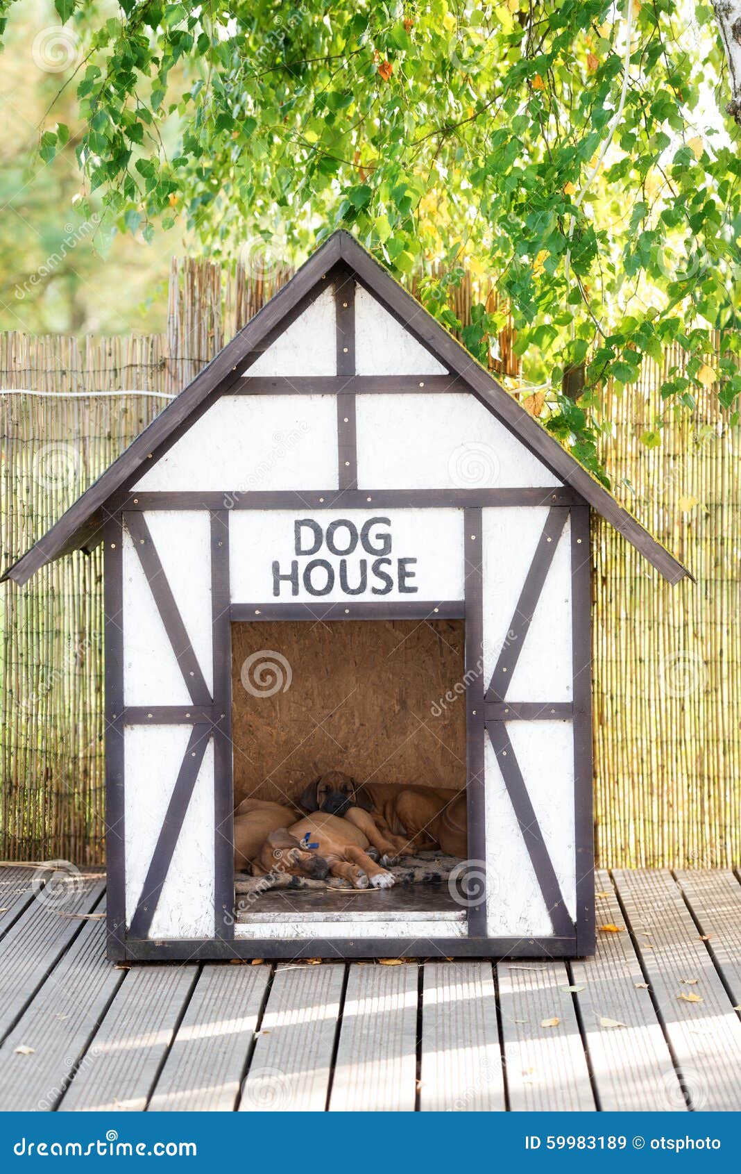 dog house for puppies