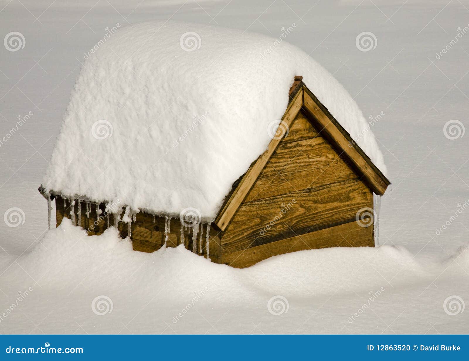 Dog House in Snow Bank Drift Stock Photo Image of animal, kennel