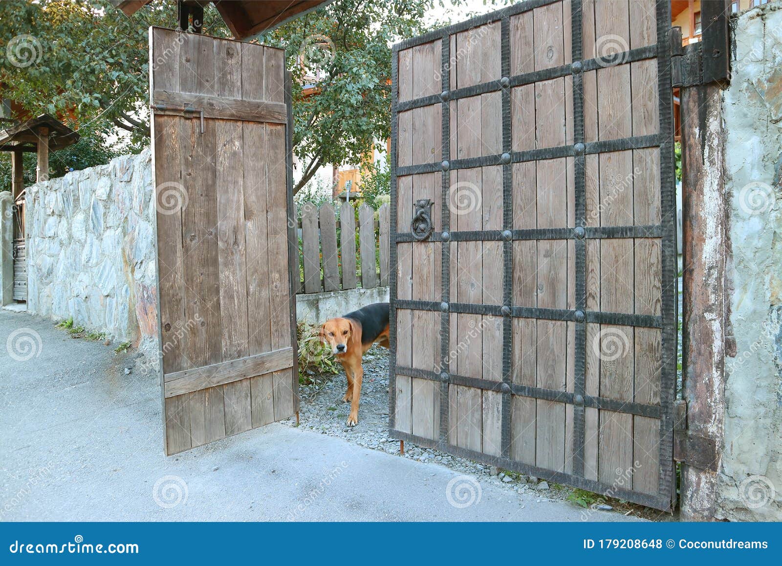 dog fence inside