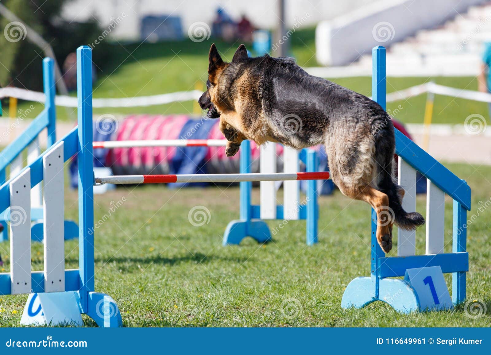 on course agility