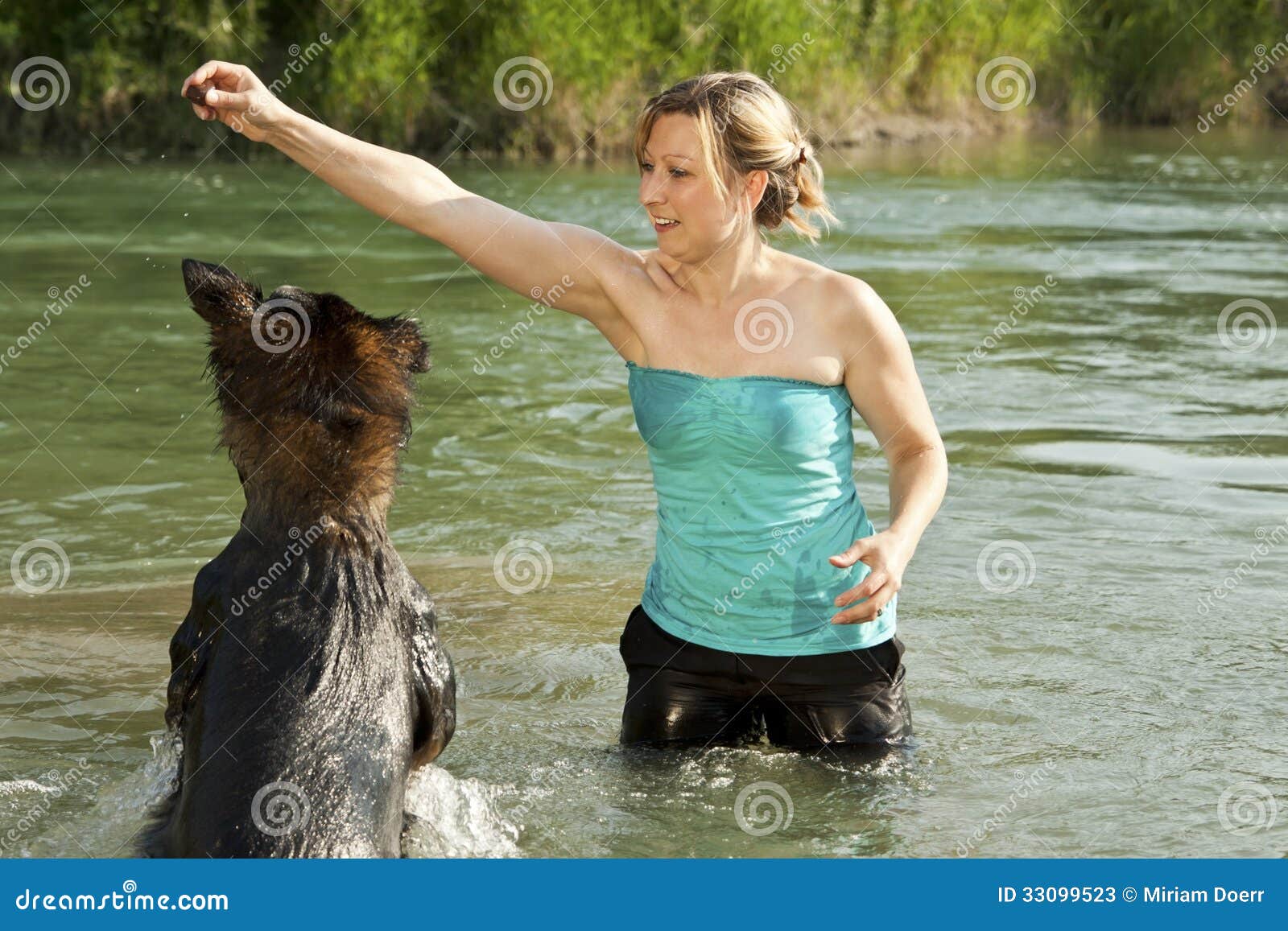 Dog is Jumping in the Water Stock Image Image of enjoy, cute 33099523