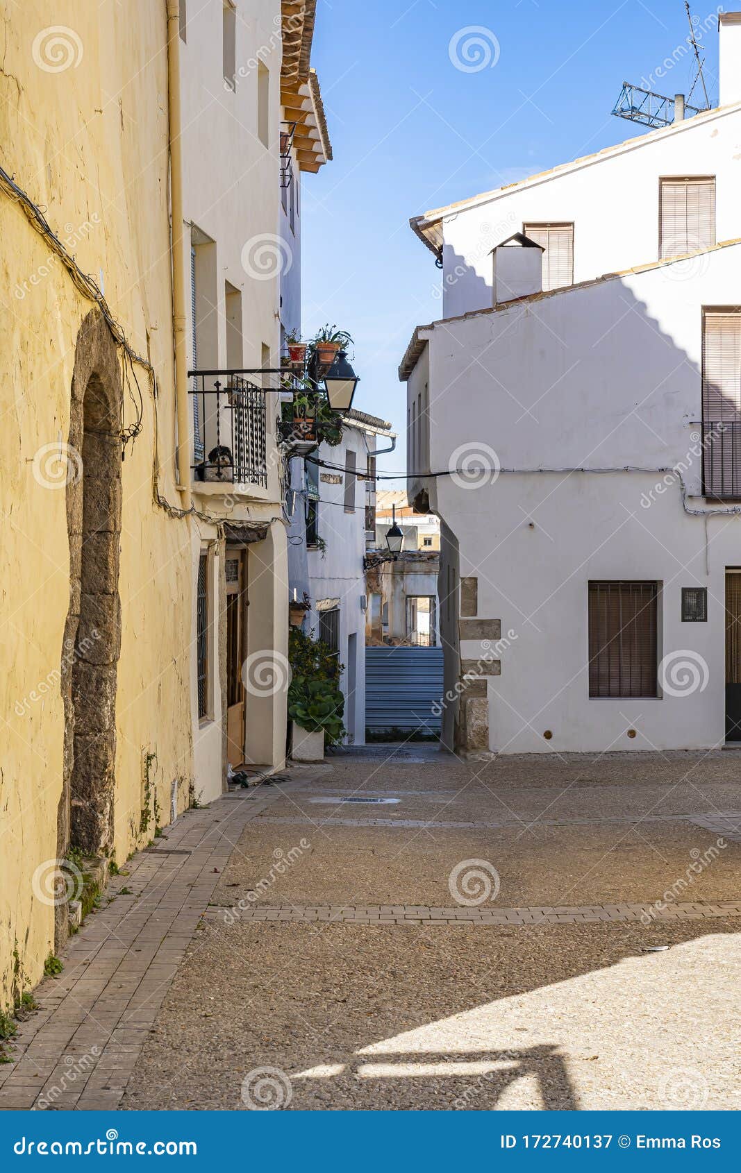 a dog keeps watch on a balcony of a house on calle carcel in requena, spain