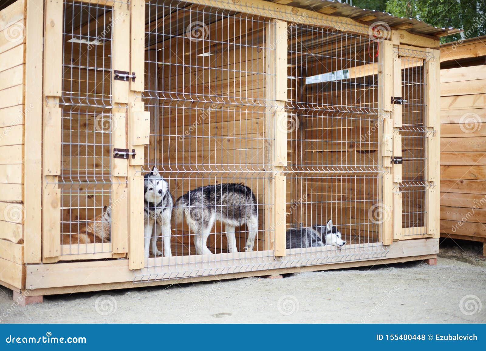 outdoor dog kennel for husky