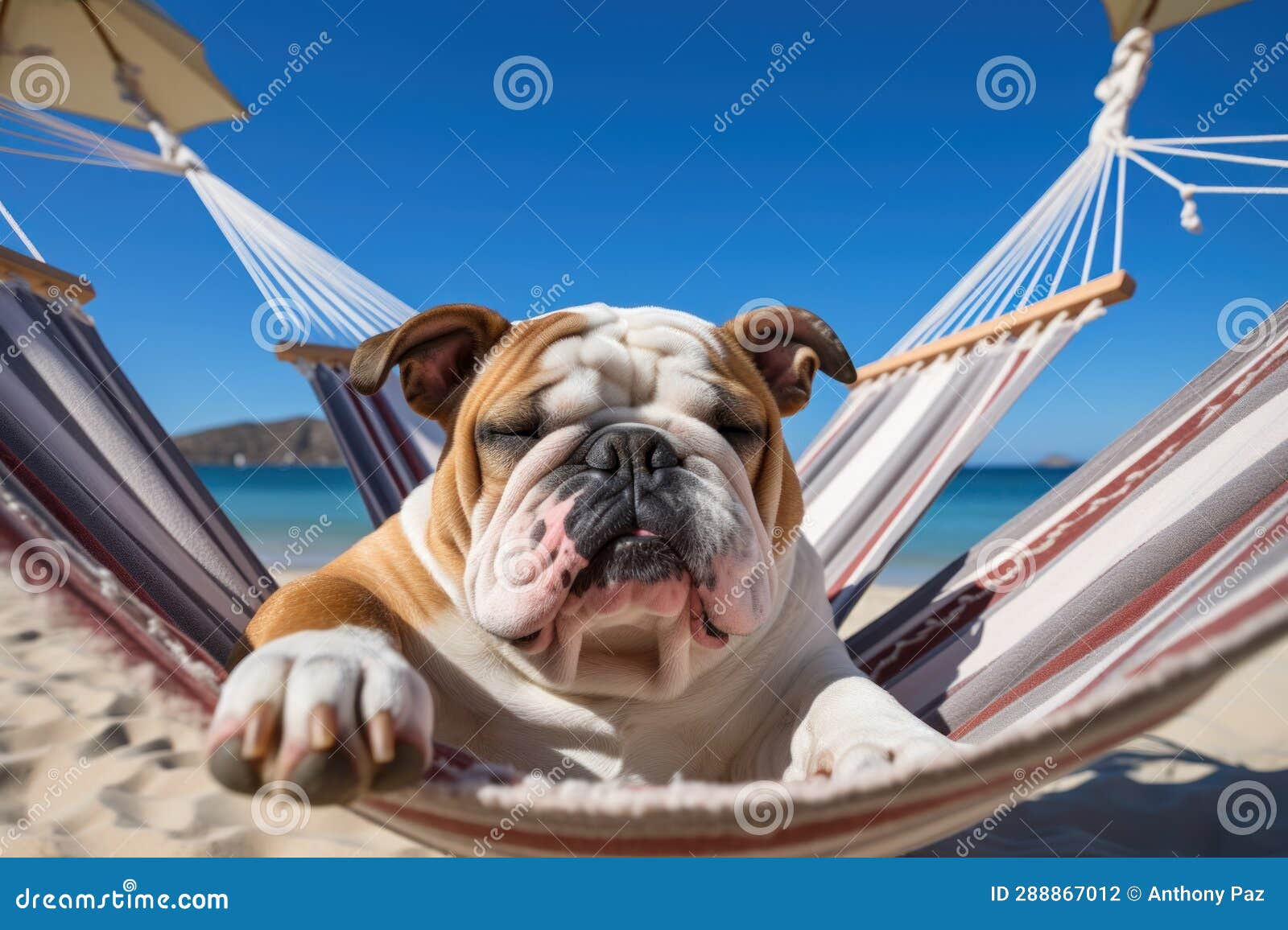 Dog Laid-Back Bulldog: Unwinding on Vacation on the Beach. Generative ...