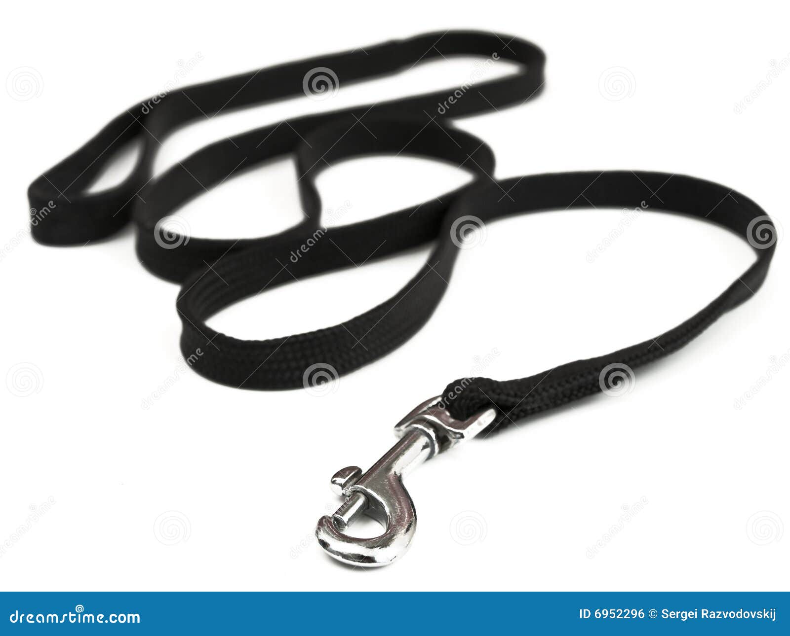 Doglead stock photo. Image of leash, safety, equipment 6952296