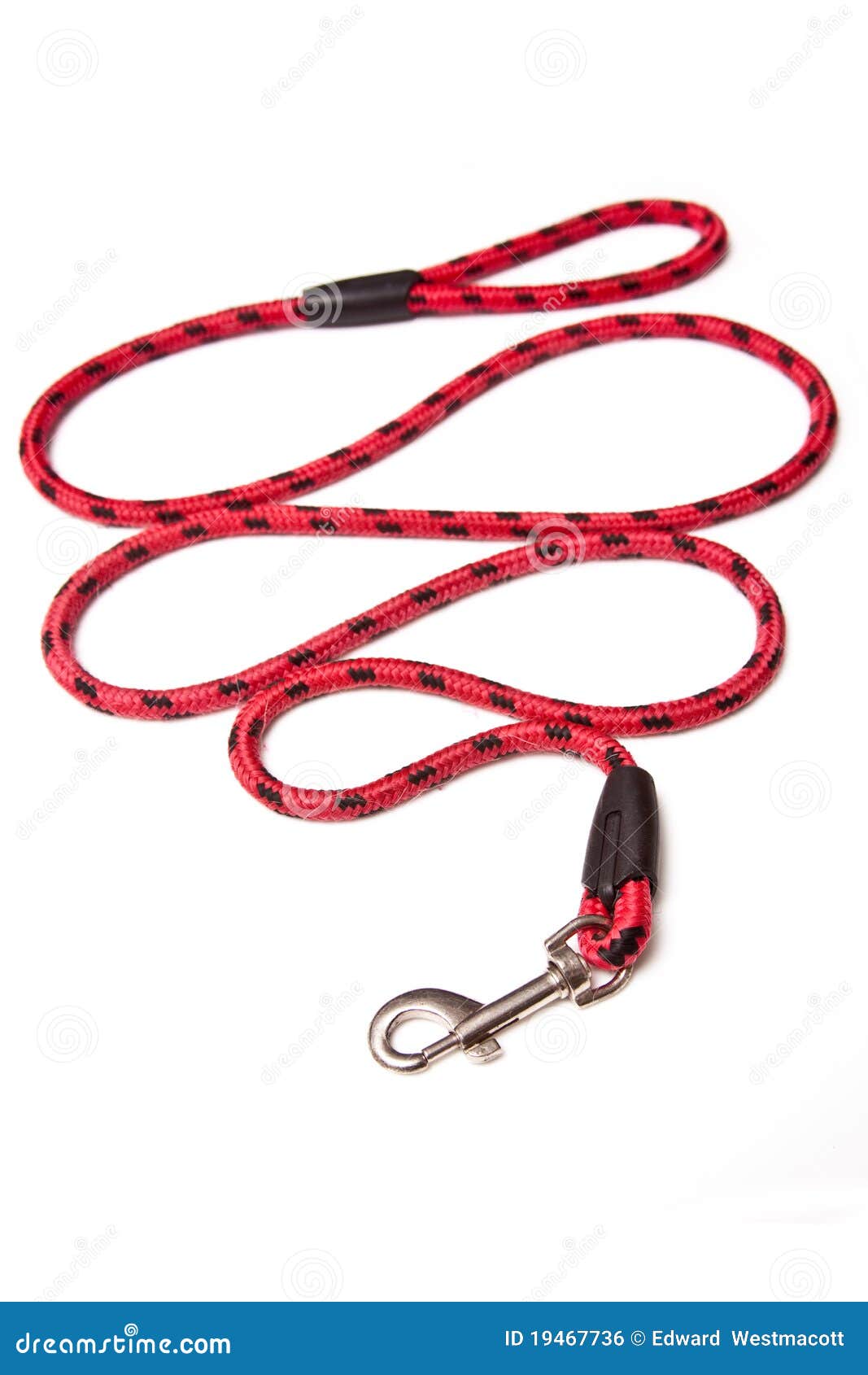 Dog leash stock photo. Image of coiled, single, clasp 19467736