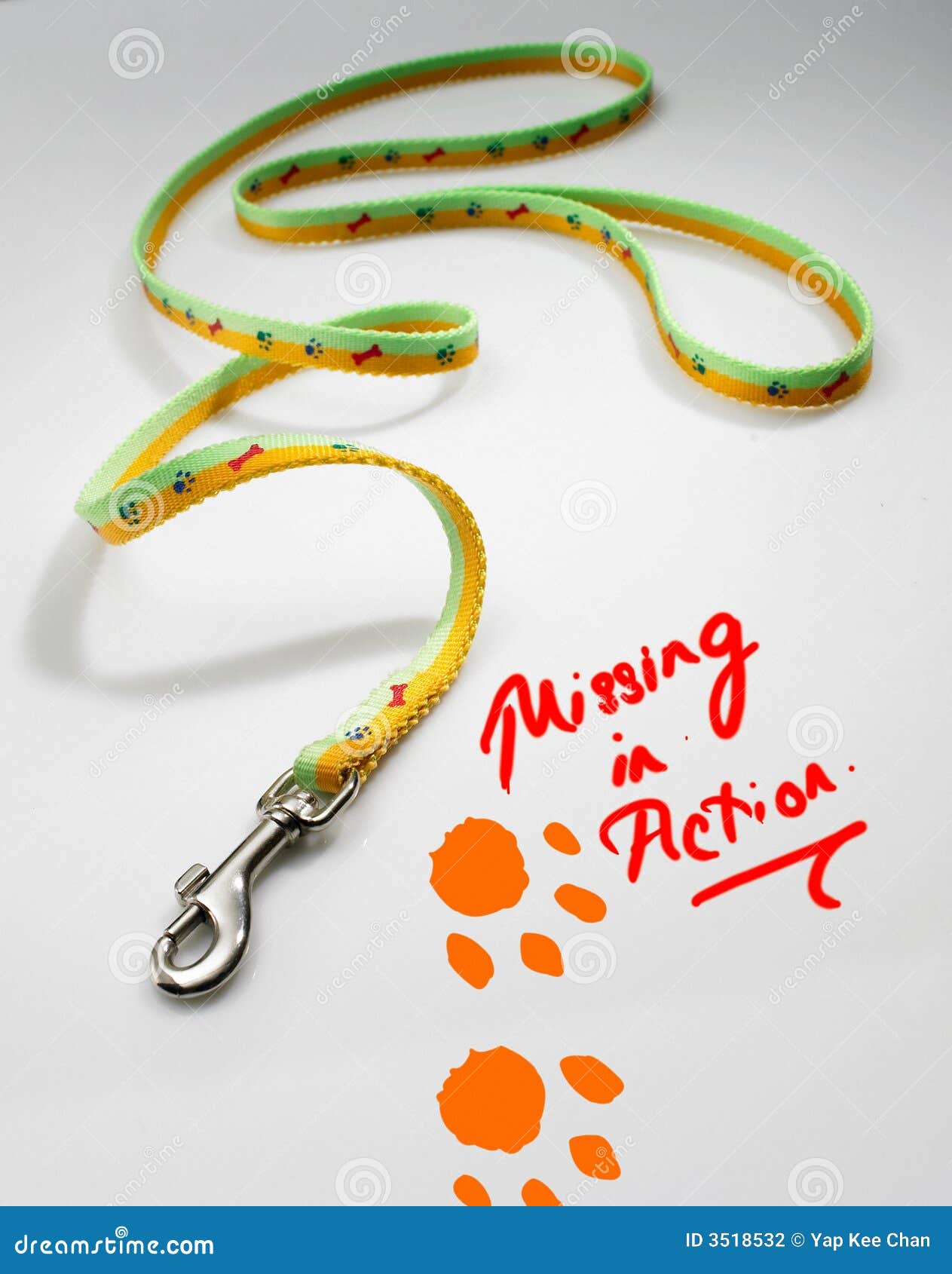 Dog leash stock photo. Image of snap, nylon, isolate, canine 3518532