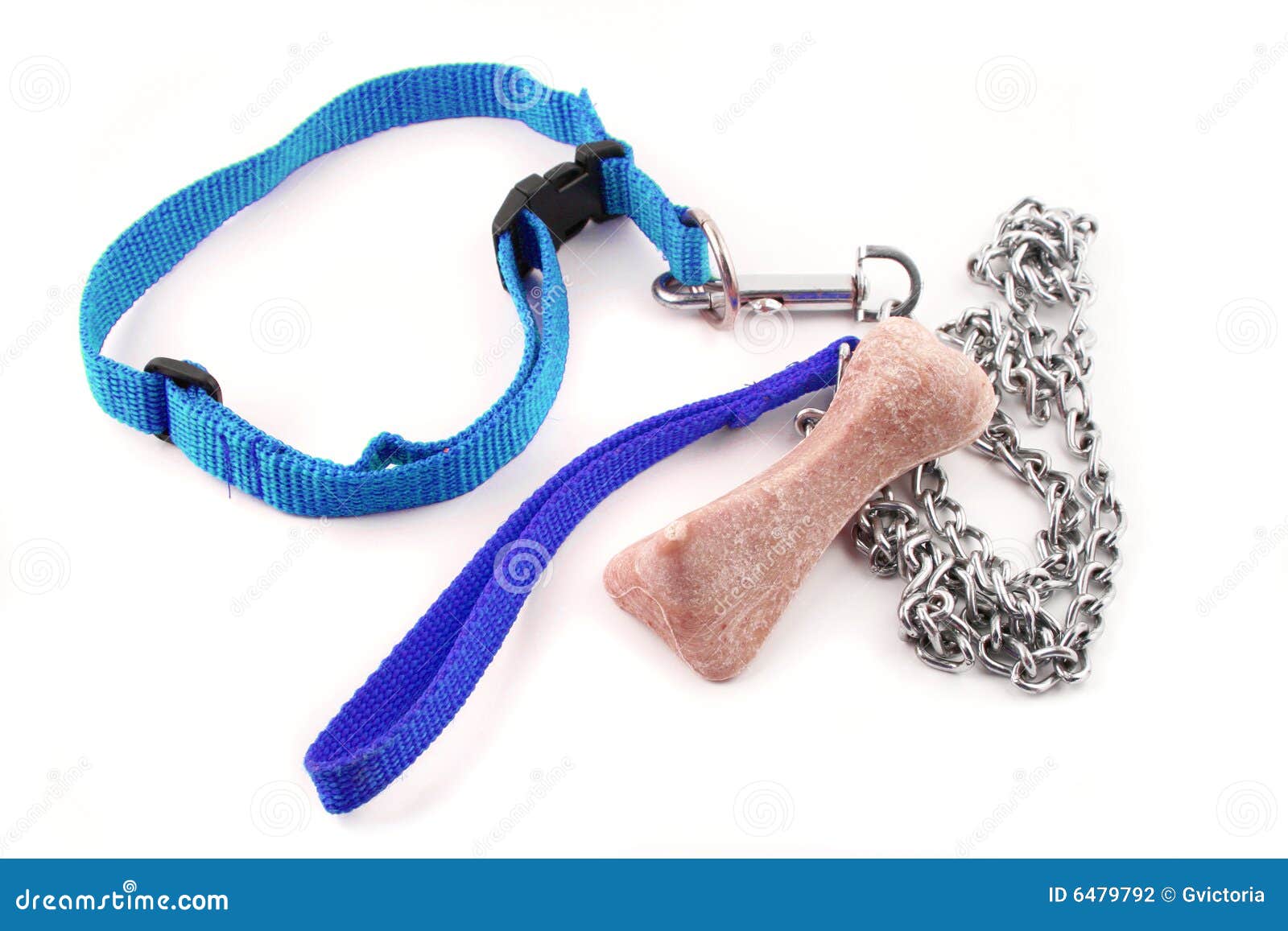 Dog leash and bone stock photo. Image of chew, chains 6479792