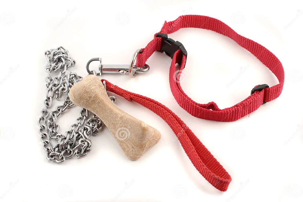Dog leash and bone stock image. Image of isolated, collar 967803