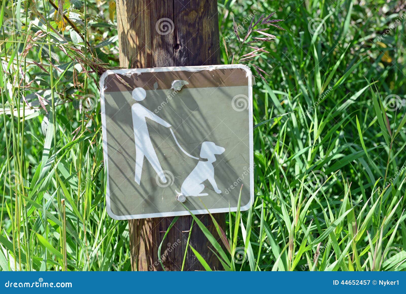 Dog Leash Law Sign Along Walking Path Stock Photography CartoonDealer