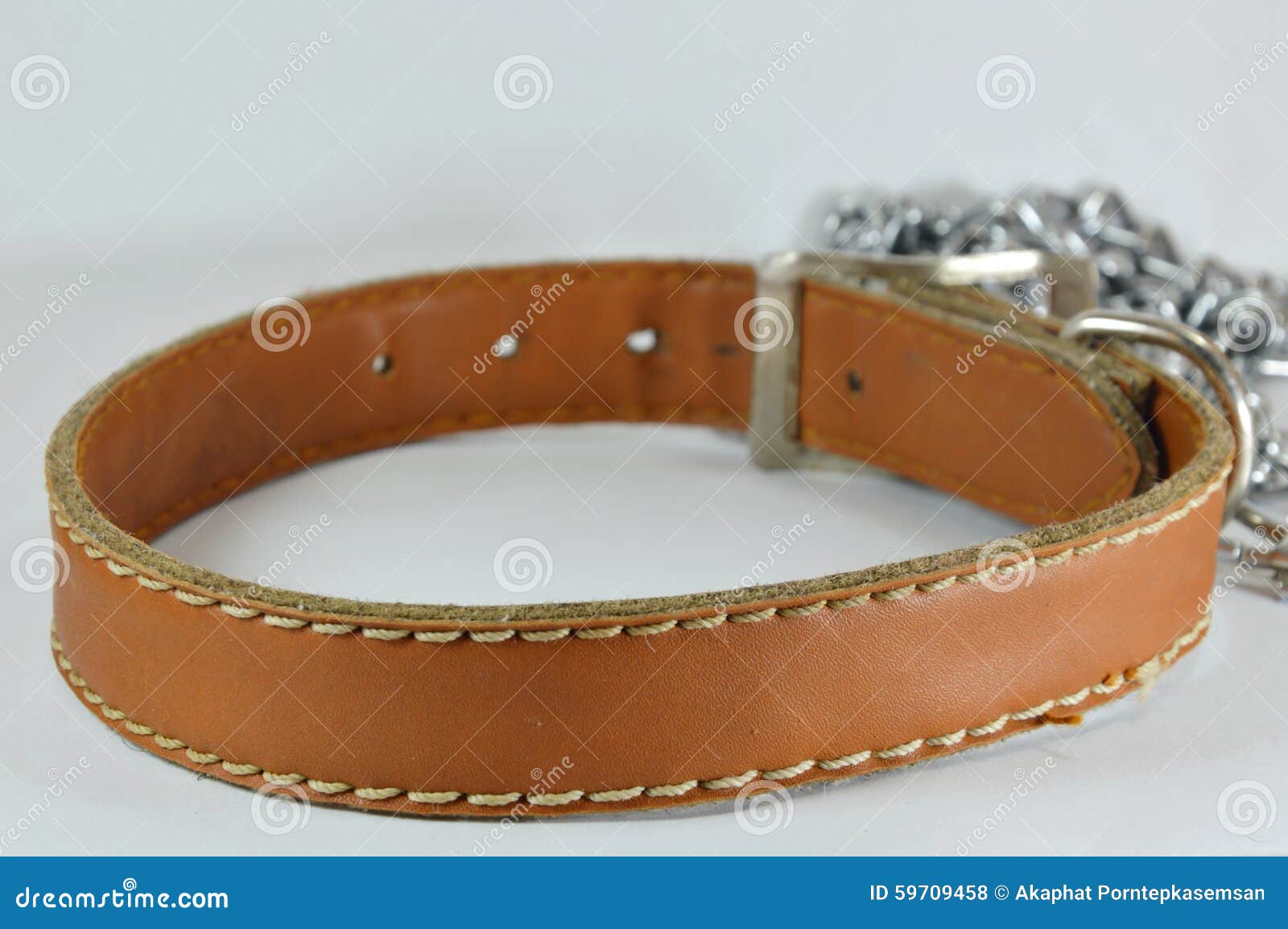 Dog Leather Collar and Lead Chain Stock Photo Image of metal, texture
