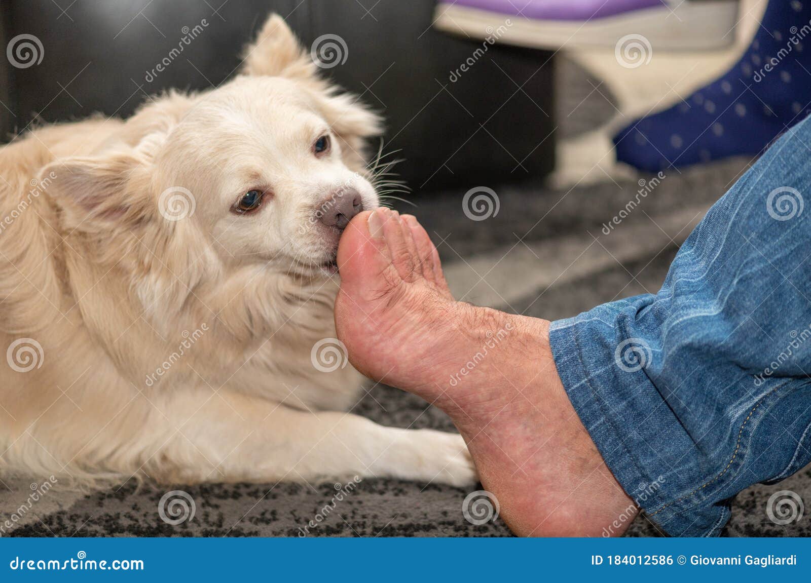 woman licking man's feet