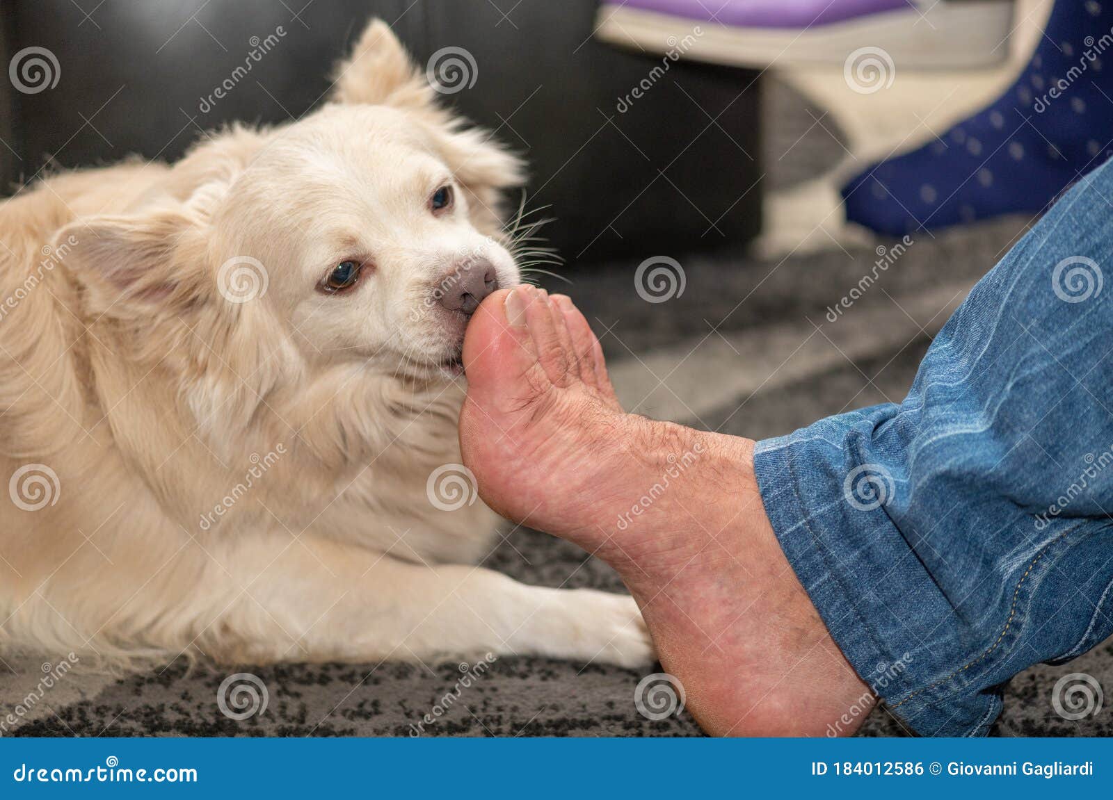 Girl Licking Girls Feet