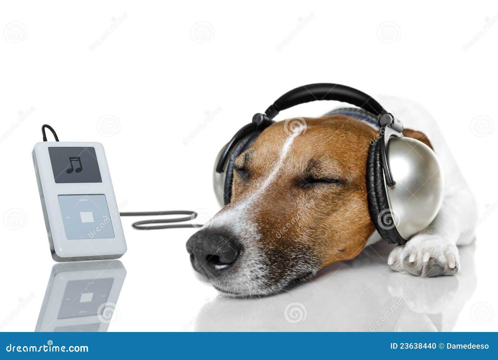 dog listen to music