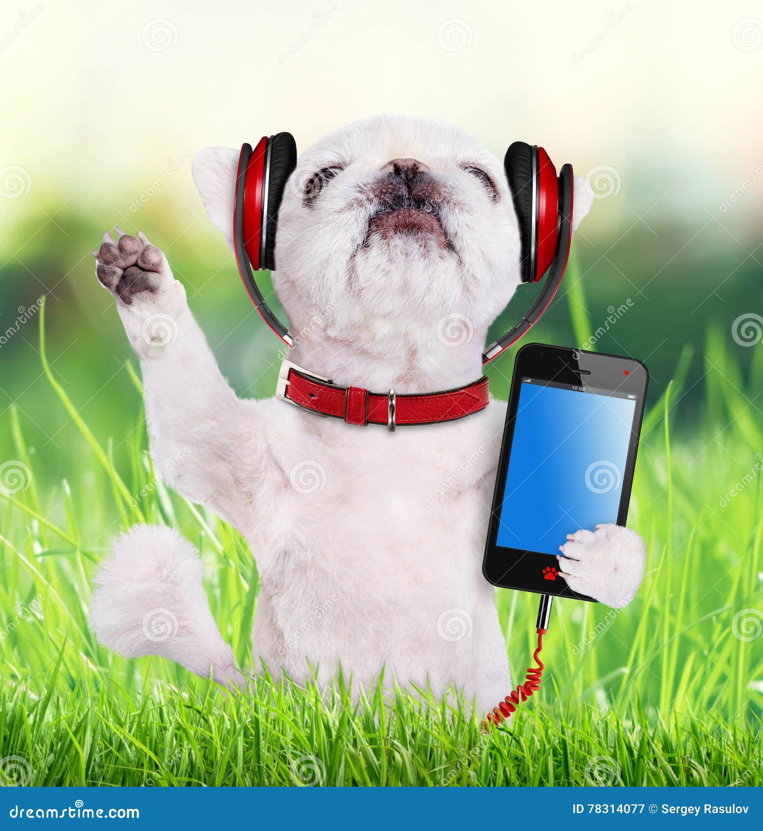 dog happy music