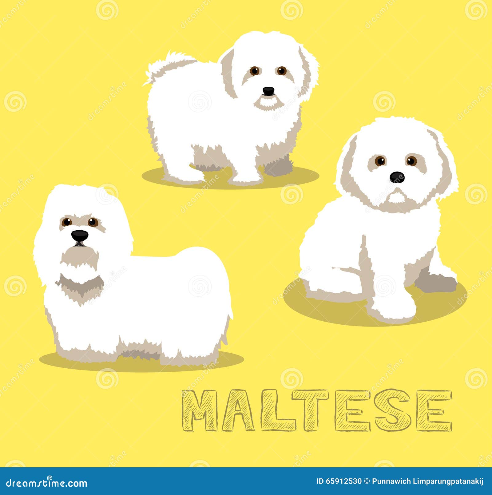 free clipart maltese dog - photo #35