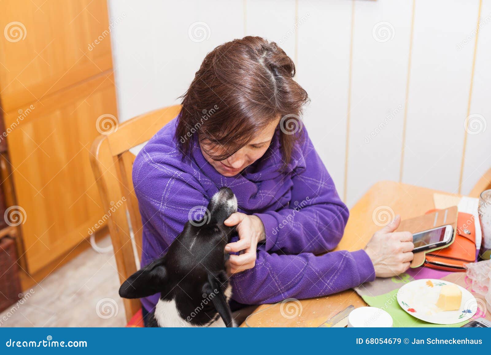 Dog with mistress stock image. Image of lovely, laughing 68054679