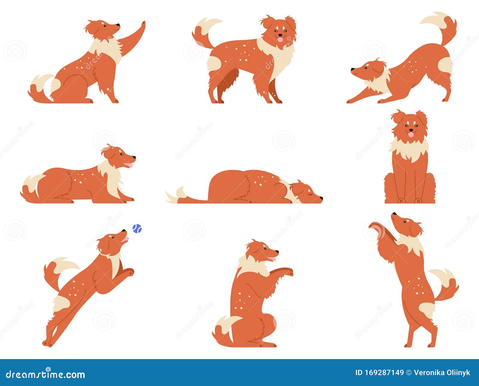 Dog Movement. Funny Dogs Activities, Cute Animal Character in Various Poses  Running, Playing and Sleeping Stock Vector - Illustration of jogging,  happy: 169287149