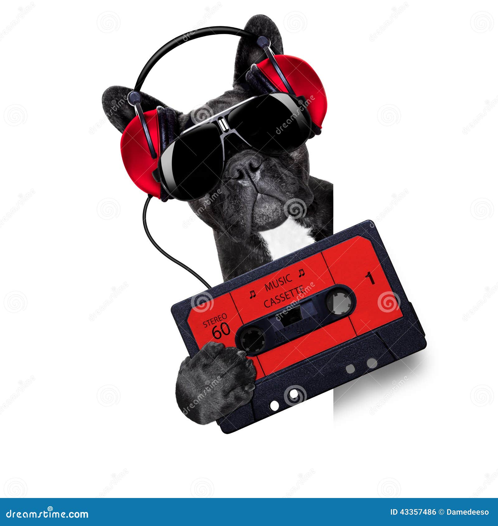 Dog music cassette stock photo. Image of jockey, hifi 43357486