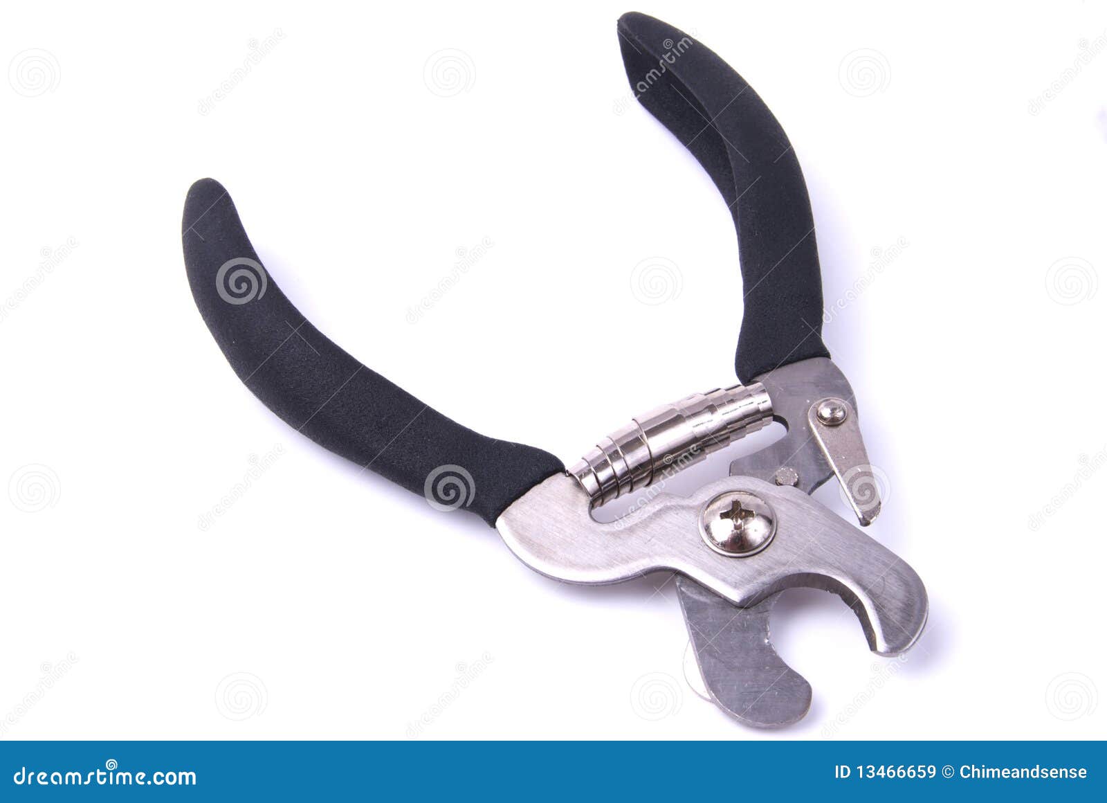 324 Dog Nail Clippers Stock Photos - Free & Royalty-Free Stock Photos from  Dreamstime