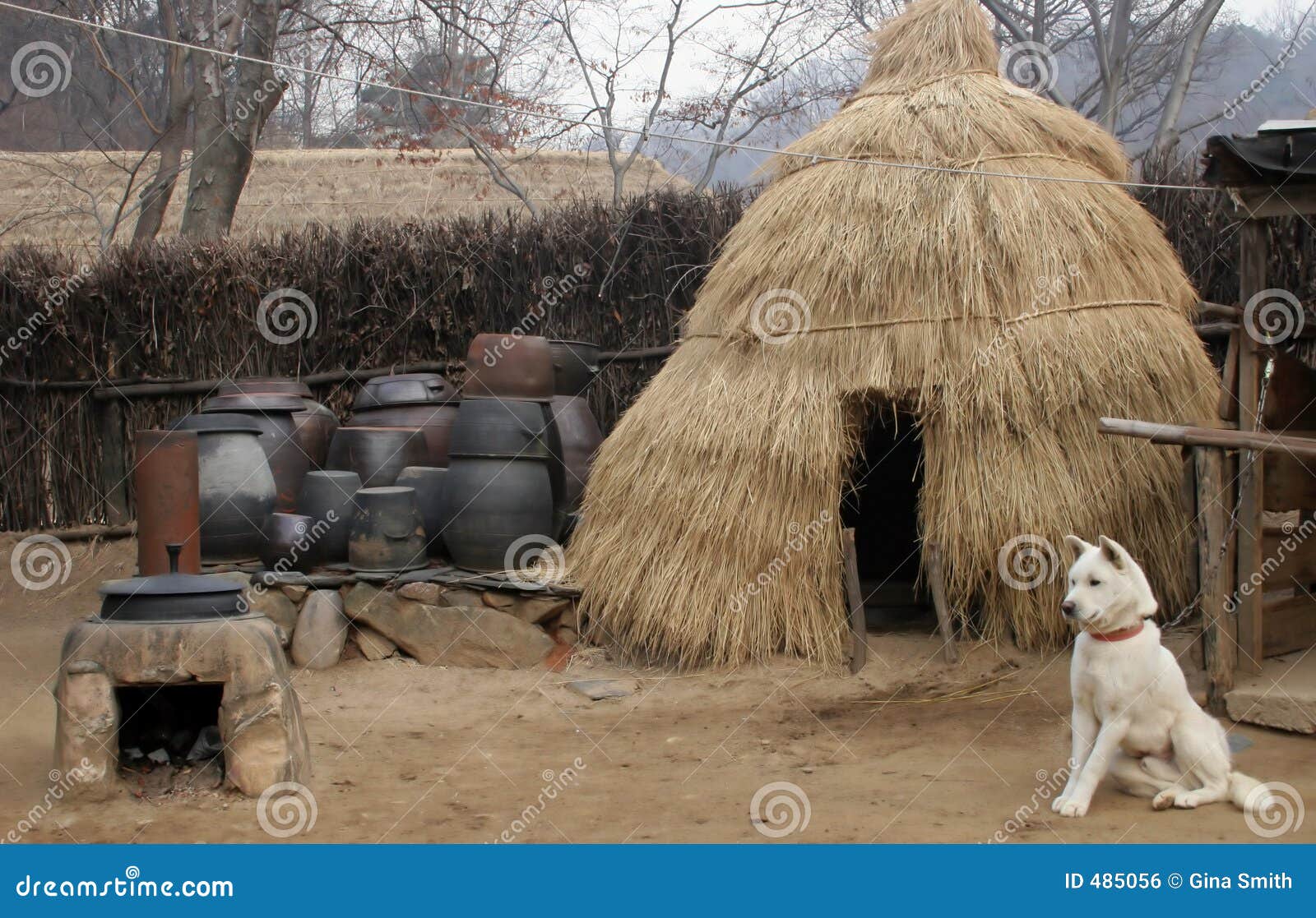 Dog outside at straw hut stock photo. Image of buddhist 485056