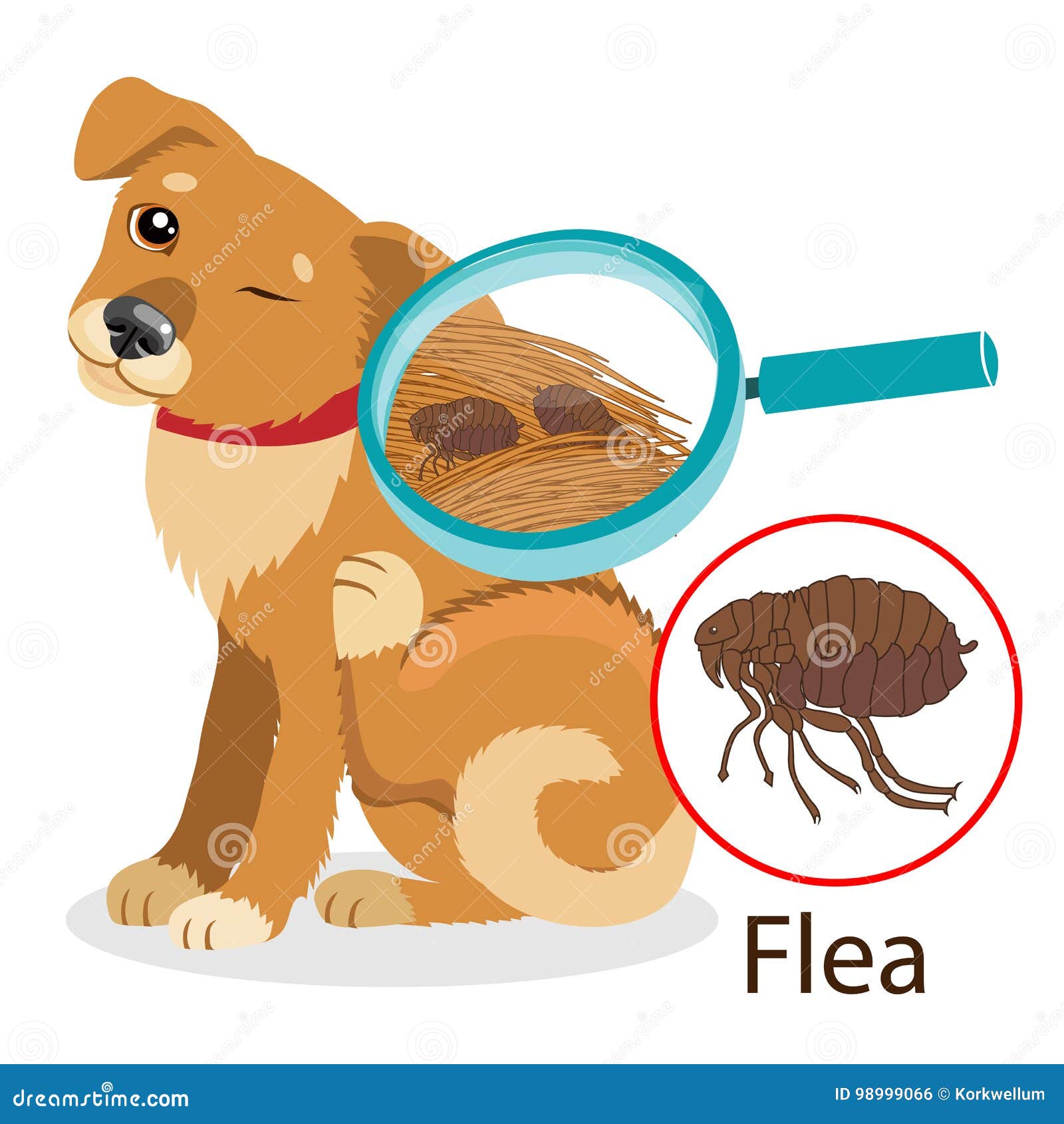 is flea medication safe for dogs