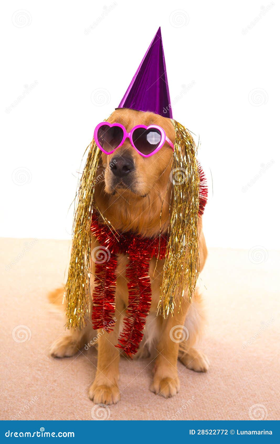 puppy golden retriever with party hats on